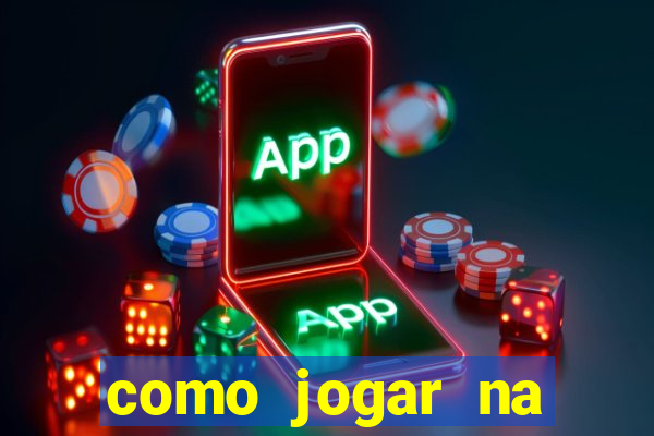 como jogar na lotinha do jogo do bicho